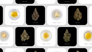 Creative Direction & Design - Noah Atkinson