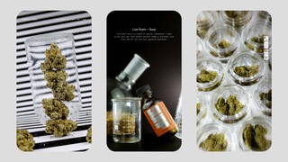 Creative Direction & Design - Noah Atkinson